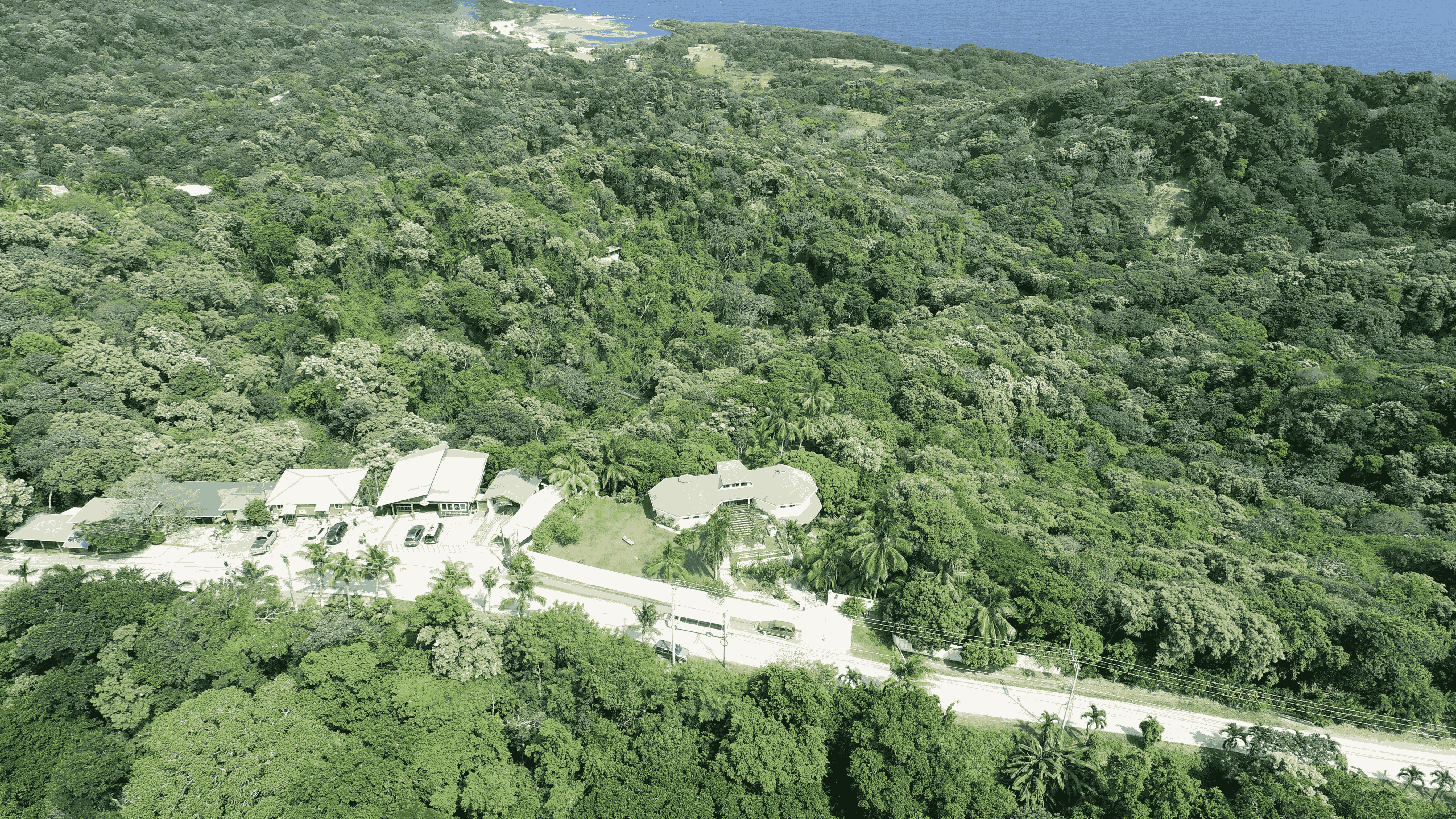 Overview